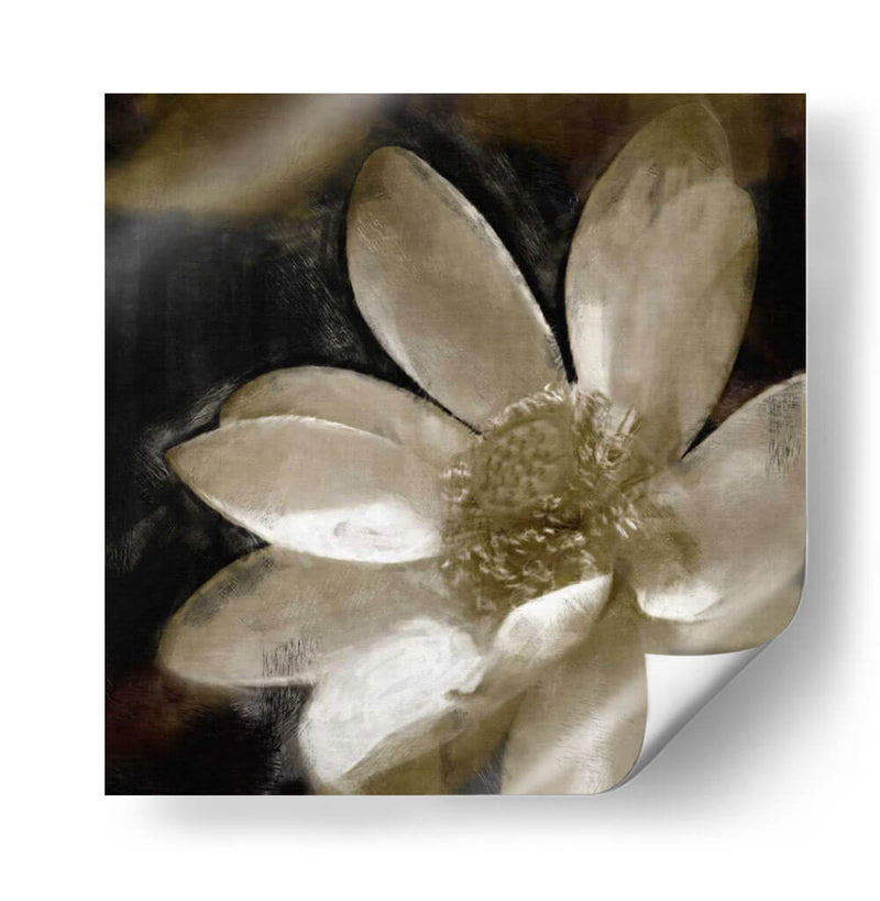 Lirio De Bronce I - Noah Bay | Cuadro decorativo de Canvas Lab