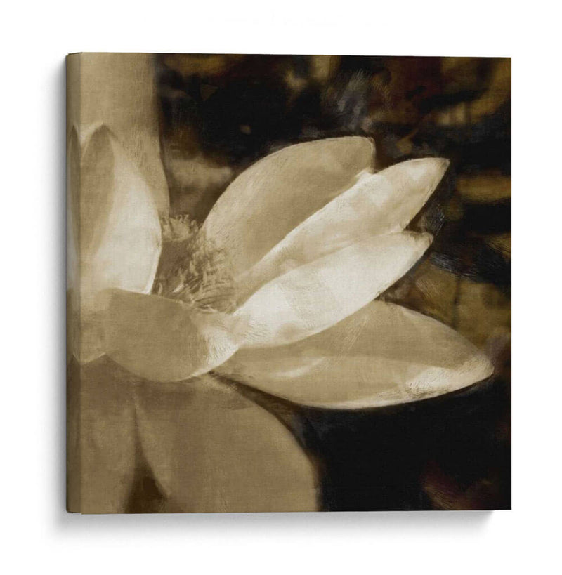 Bronce Lily Iv - Noah Bay | Cuadro decorativo de Canvas Lab