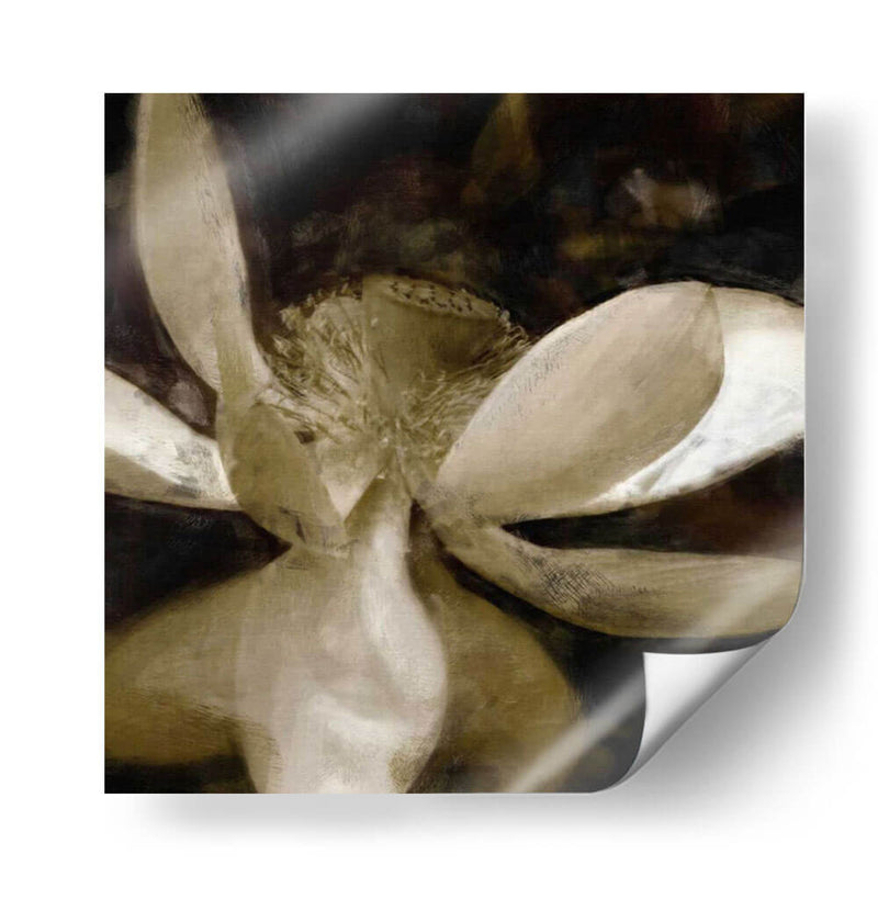 Bronce Lily Vi - Noah Bay | Cuadro decorativo de Canvas Lab