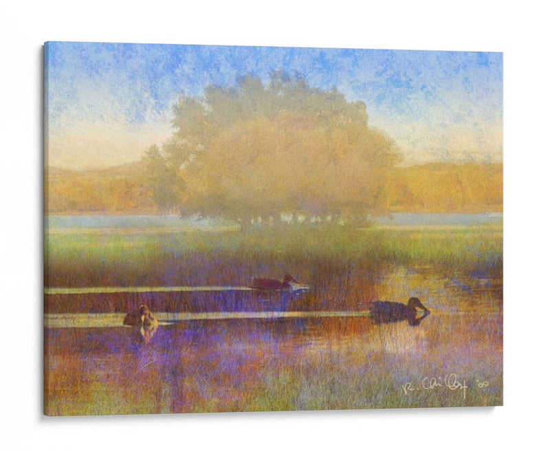 Patos En Niebla Suave - Chris Vest | Cuadro decorativo de Canvas Lab