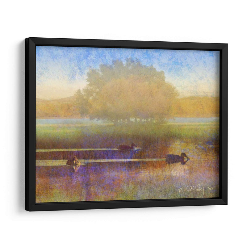 Patos En Niebla Suave - Chris Vest | Cuadro decorativo de Canvas Lab