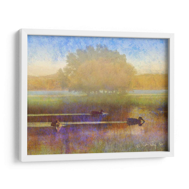 Patos En Niebla Suave - Chris Vest | Cuadro decorativo de Canvas Lab