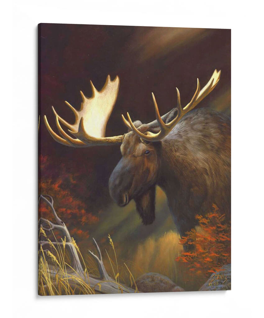 Retrato De Alces - Leo Stans | Cuadro decorativo de Canvas Lab