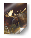 Retrato De Alces - Leo Stans | Cuadro decorativo de Canvas Lab