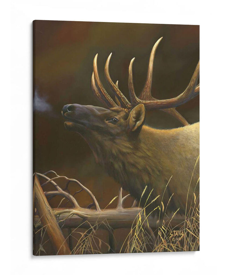 Elk Retrato I - Leo Stans | Cuadro decorativo de Canvas Lab