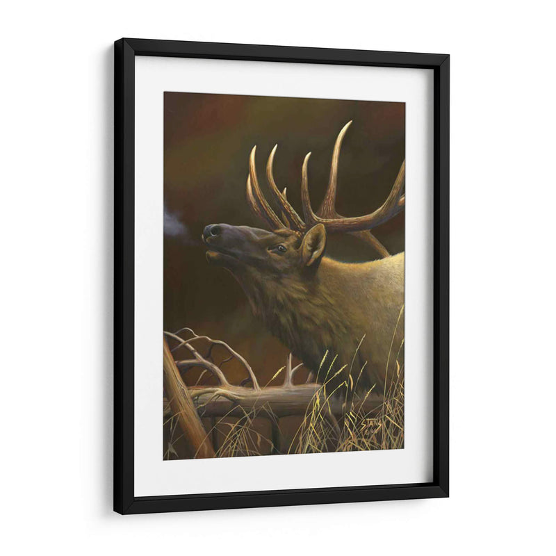 Elk Retrato I - Leo Stans | Cuadro decorativo de Canvas Lab