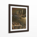 Elk Retrato I - Leo Stans | Cuadro decorativo de Canvas Lab