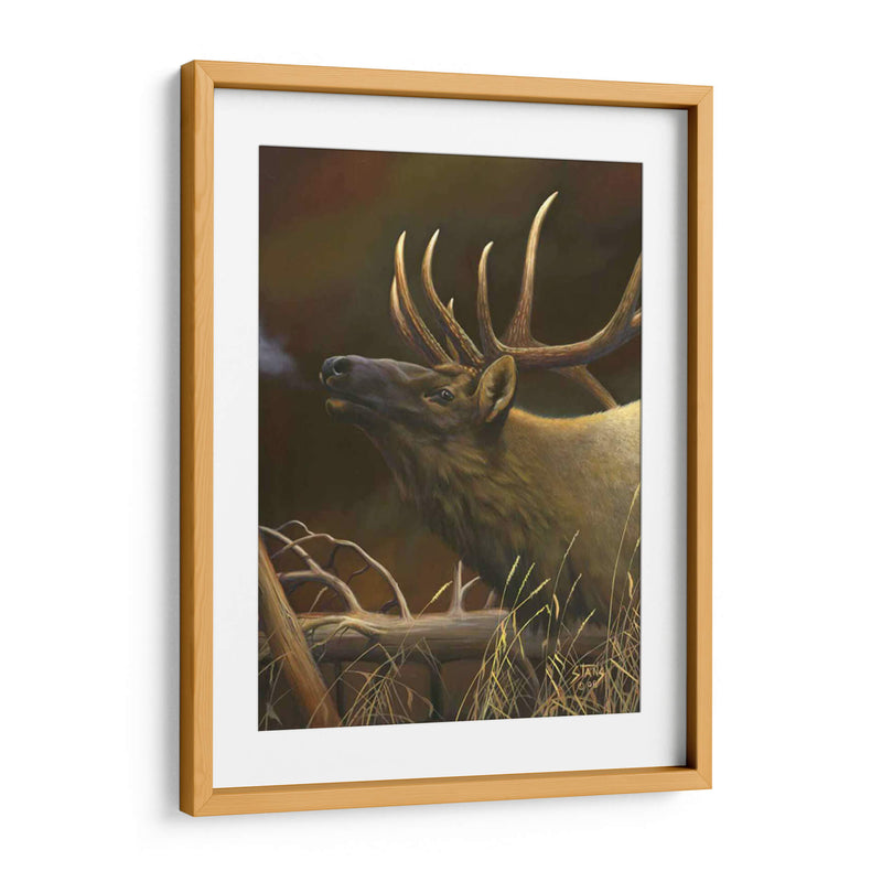 Elk Retrato I - Leo Stans | Cuadro decorativo de Canvas Lab