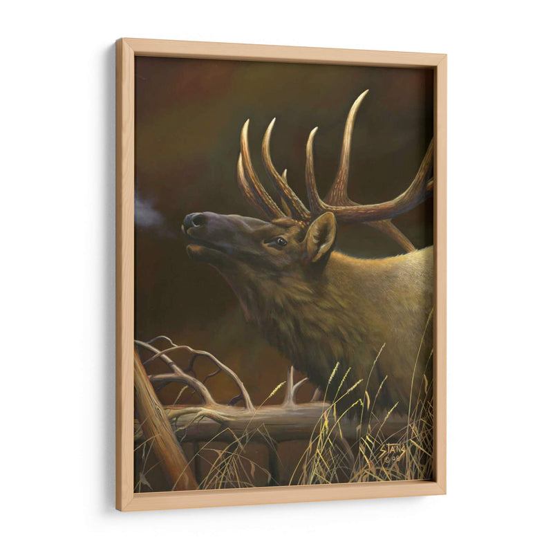 Elk Retrato I - Leo Stans | Cuadro decorativo de Canvas Lab