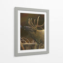 Elk Retrato I - Leo Stans | Cuadro decorativo de Canvas Lab