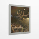 Elk Retrato I - Leo Stans | Cuadro decorativo de Canvas Lab