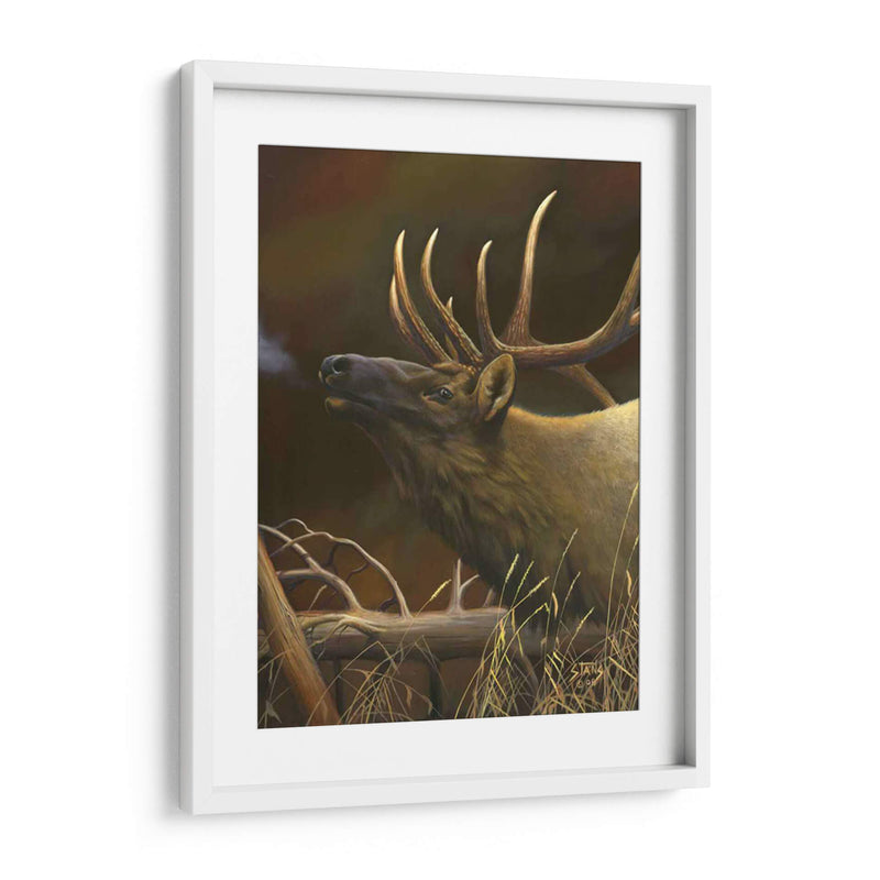 Elk Retrato I - Leo Stans | Cuadro decorativo de Canvas Lab