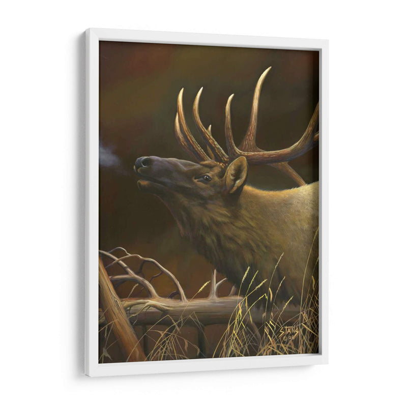 Elk Retrato I - Leo Stans | Cuadro decorativo de Canvas Lab