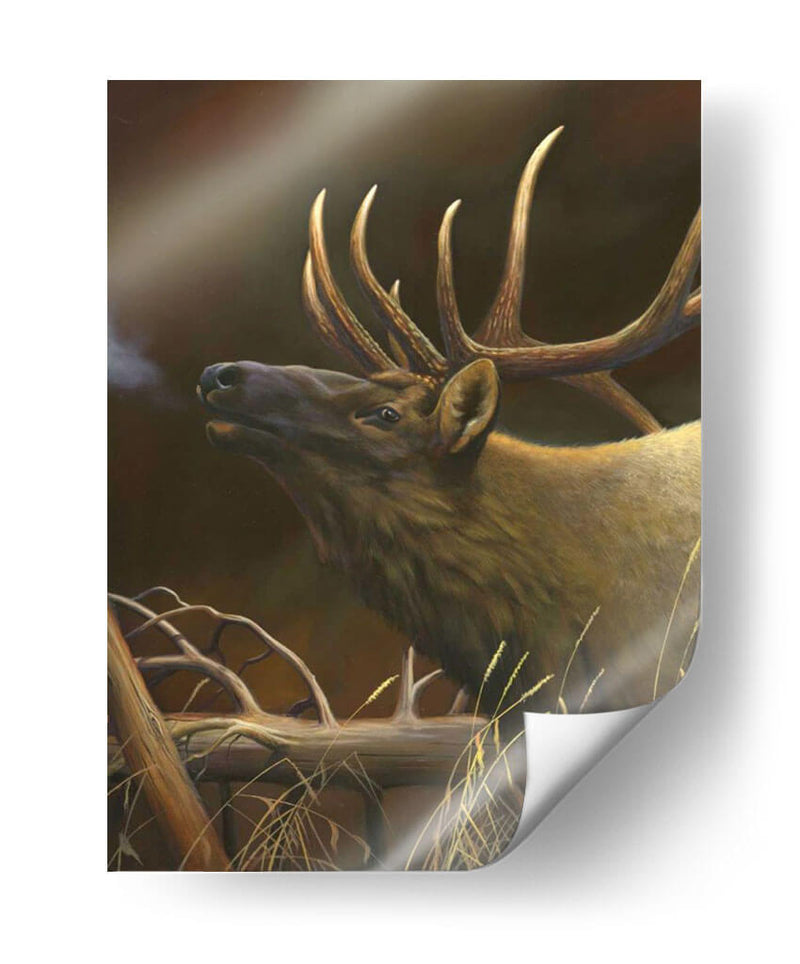 Elk Retrato I - Leo Stans | Cuadro decorativo de Canvas Lab