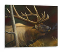 Elk Retrato Ii - Leo Stans | Cuadro decorativo de Canvas Lab