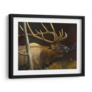 Elk Retrato Ii - Leo Stans | Cuadro decorativo de Canvas Lab