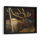 Elk Retrato Ii - Leo Stans | Cuadro decorativo de Canvas Lab