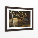 Elk Retrato Ii - Leo Stans | Cuadro decorativo de Canvas Lab
