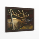 Elk Retrato Ii - Leo Stans | Cuadro decorativo de Canvas Lab