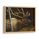 Elk Retrato Ii - Leo Stans | Cuadro decorativo de Canvas Lab
