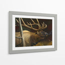Elk Retrato Ii - Leo Stans | Cuadro decorativo de Canvas Lab