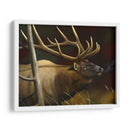 Elk Retrato Ii - Leo Stans | Cuadro decorativo de Canvas Lab