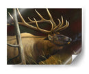 Elk Retrato Ii - Leo Stans | Cuadro decorativo de Canvas Lab