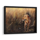 Hierba Dorada - Leo Stans | Cuadro decorativo de Canvas Lab