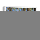 A Lo Largo De La Cerca - Leo Stans | Cuadro decorativo de Canvas Lab