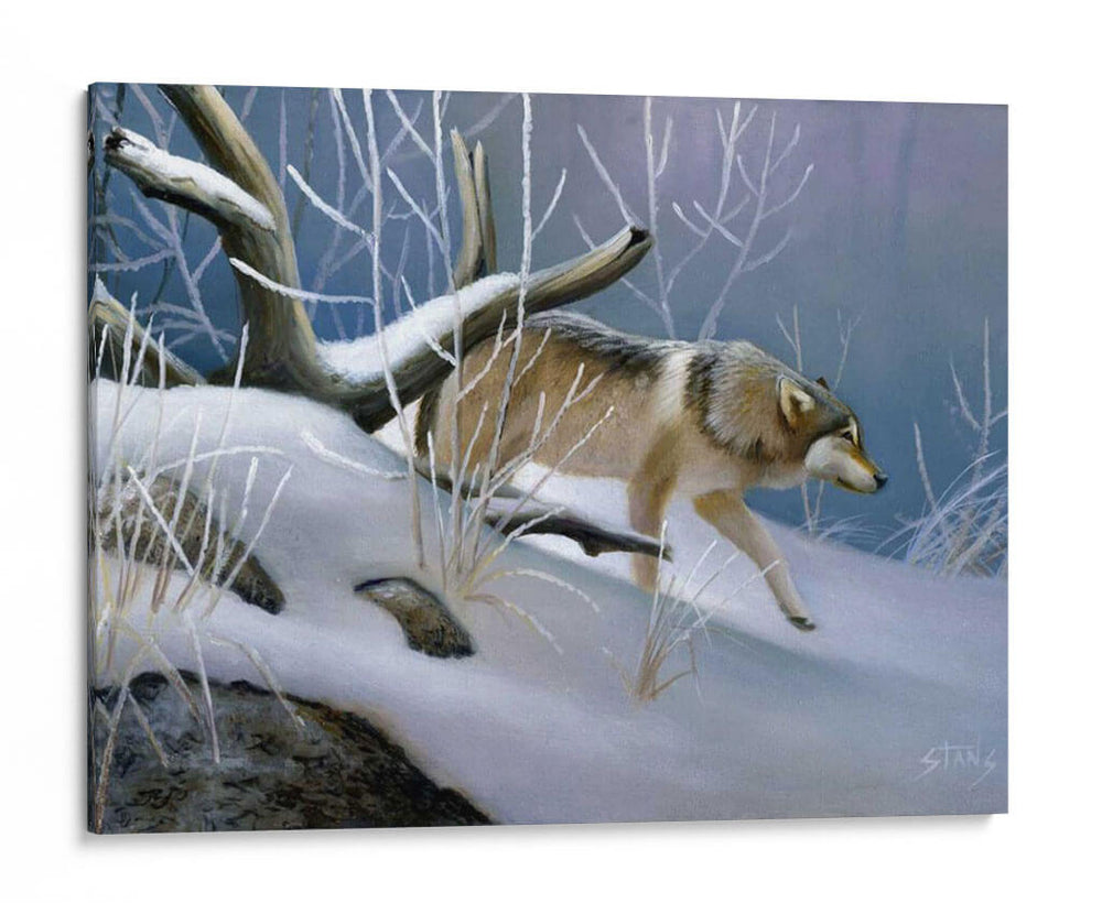 Lobo Solitario - Leo Stans | Cuadro decorativo de Canvas Lab