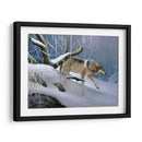 Lobo Solitario - Leo Stans | Cuadro decorativo de Canvas Lab