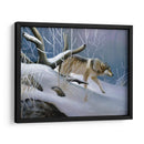 Lobo Solitario - Leo Stans | Cuadro decorativo de Canvas Lab