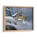 Lobo Solitario - Leo Stans | Cuadro decorativo de Canvas Lab