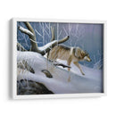 Lobo Solitario - Leo Stans | Cuadro decorativo de Canvas Lab