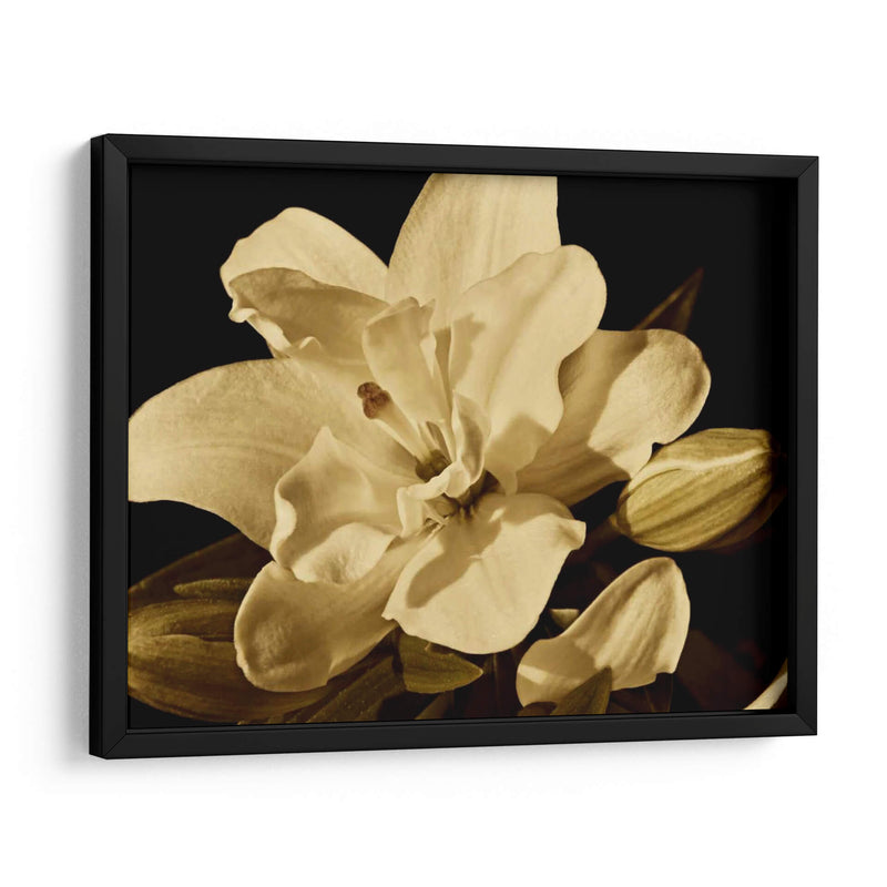 Yvoire Flor I - Rachel Perry | Cuadro decorativo de Canvas Lab