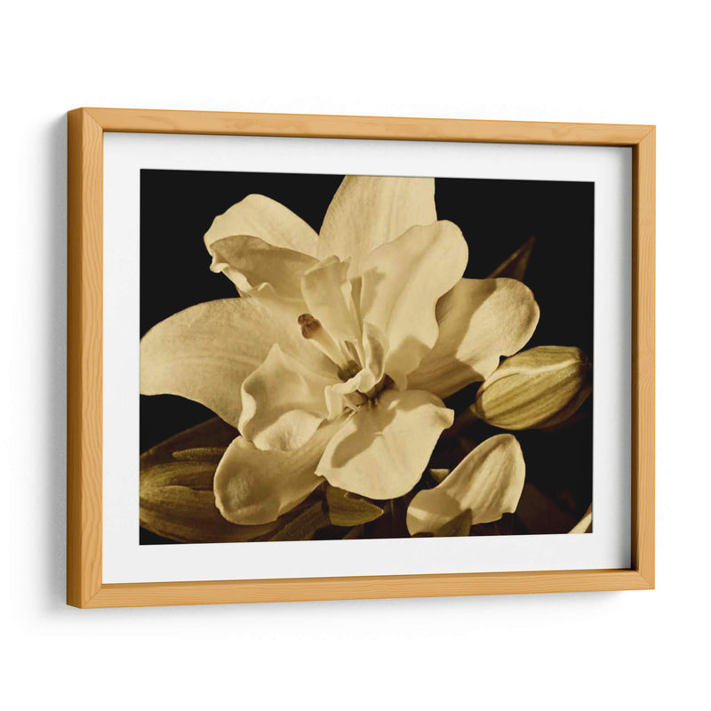 Yvoire Flor I - Rachel Perry | Cuadro decorativo de Canvas Lab