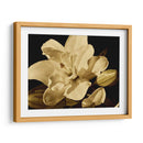 Yvoire Flor I - Rachel Perry | Cuadro decorativo de Canvas Lab