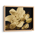 Yvoire Flor I - Rachel Perry | Cuadro decorativo de Canvas Lab