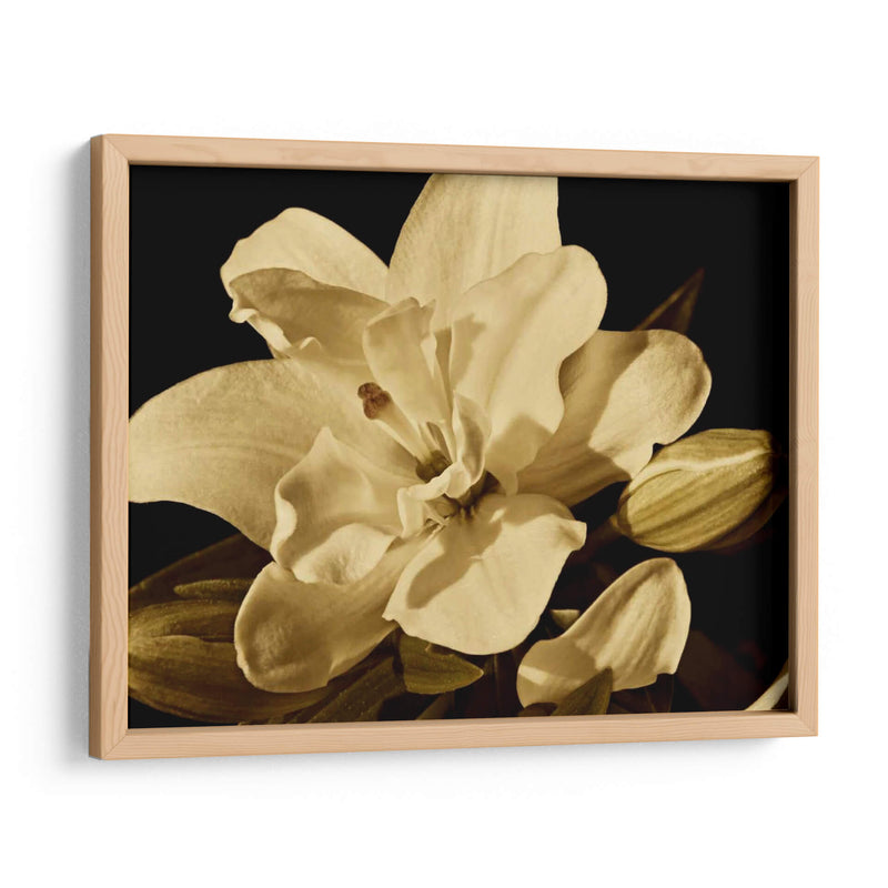 Yvoire Flor I - Rachel Perry | Cuadro decorativo de Canvas Lab