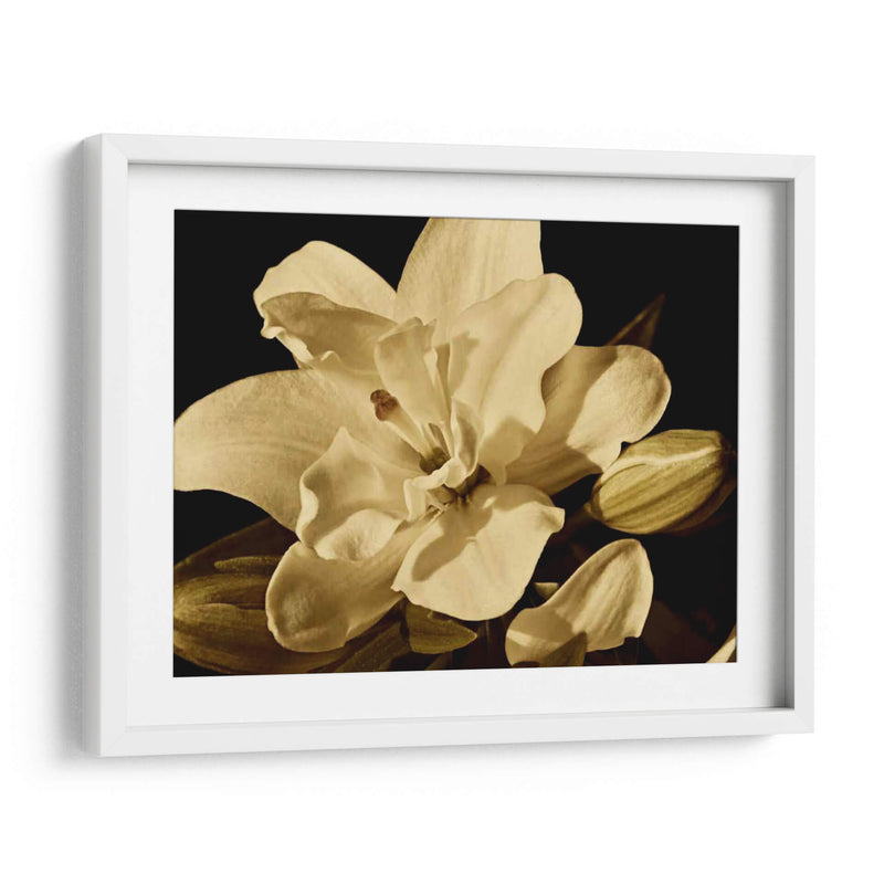 Yvoire Flor I - Rachel Perry | Cuadro decorativo de Canvas Lab