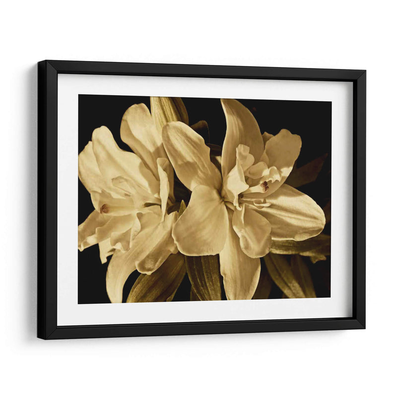 Yvoire Flower Ii - Rachel Perry | Cuadro decorativo de Canvas Lab