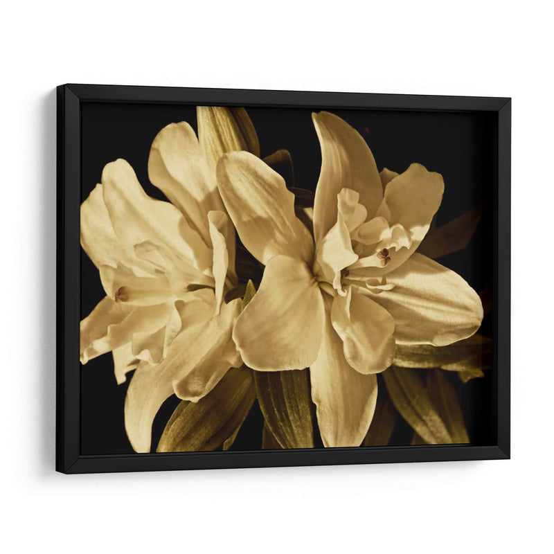 Yvoire Flower Ii - Rachel Perry | Cuadro decorativo de Canvas Lab