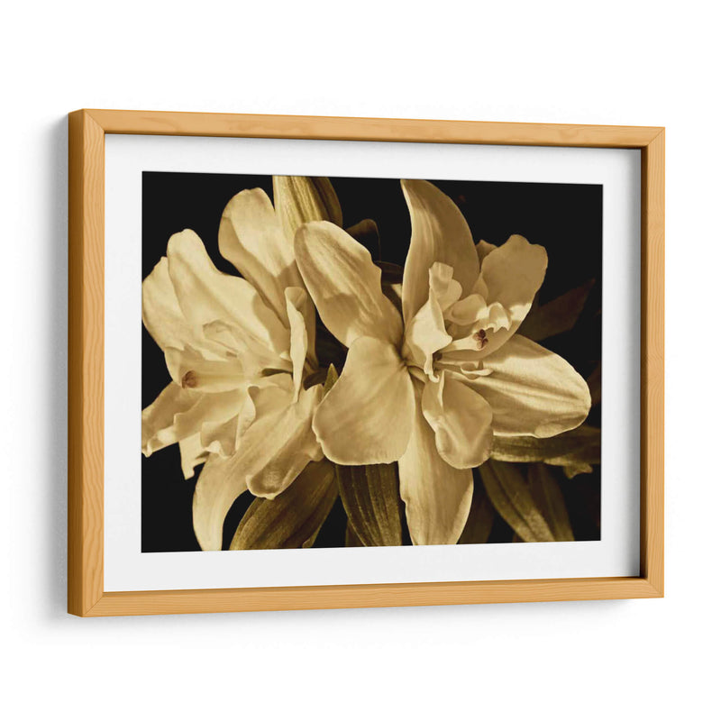 Yvoire Flower Ii - Rachel Perry | Cuadro decorativo de Canvas Lab