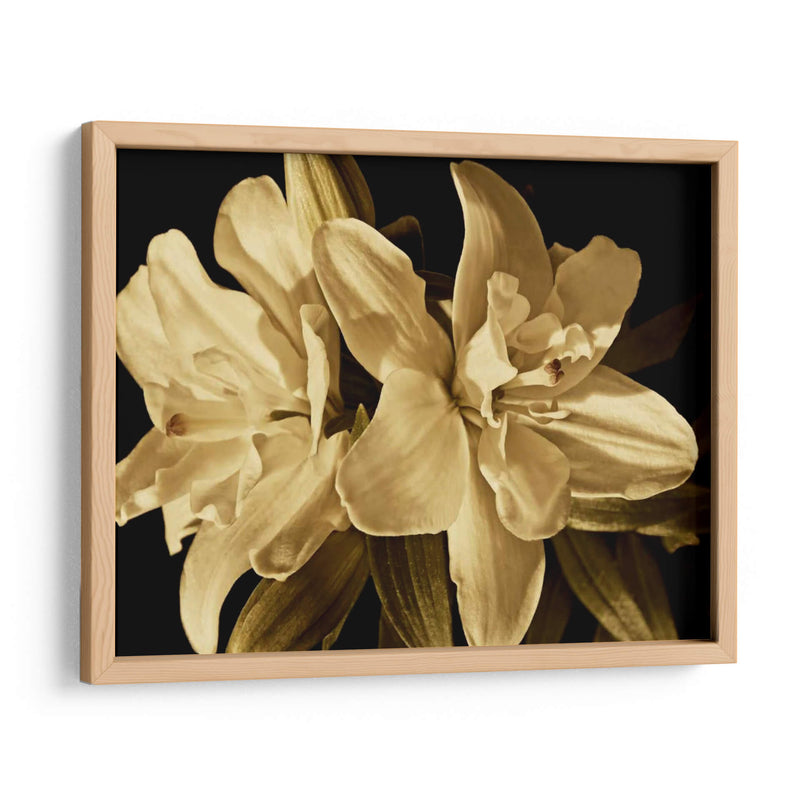 Yvoire Flower Ii - Rachel Perry | Cuadro decorativo de Canvas Lab