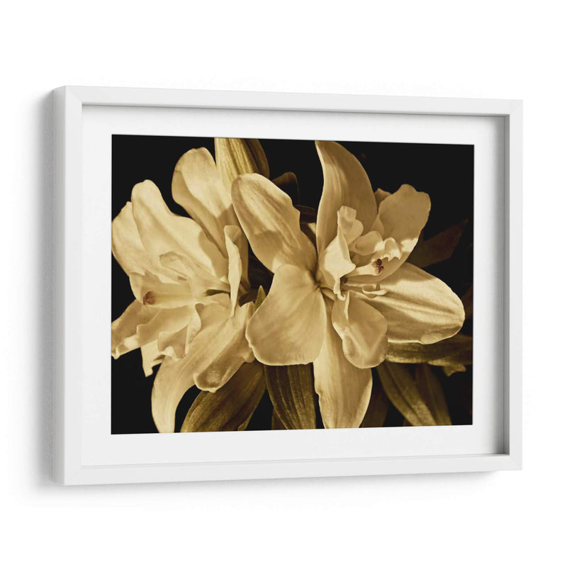 Yvoire Flower Ii - Rachel Perry | Cuadro decorativo de Canvas Lab