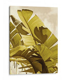 Palm Frondas I - Rachel Perry | Cuadro decorativo de Canvas Lab