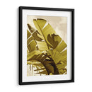 Palm Frondas I - Rachel Perry | Cuadro decorativo de Canvas Lab