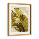 Palm Frondas I - Rachel Perry | Cuadro decorativo de Canvas Lab