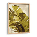 Palm Frondas I - Rachel Perry | Cuadro decorativo de Canvas Lab