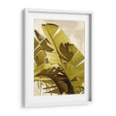 Palm Frondas I - Rachel Perry | Cuadro decorativo de Canvas Lab